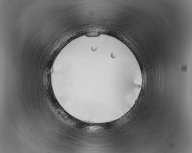 X0000115080158200912081219