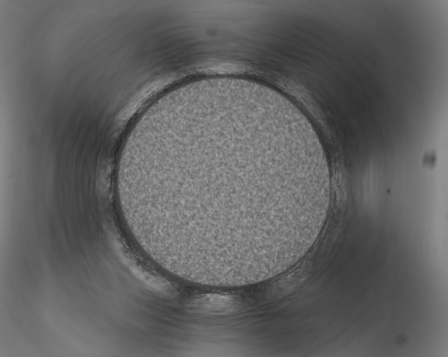 X0000115080159200912081219