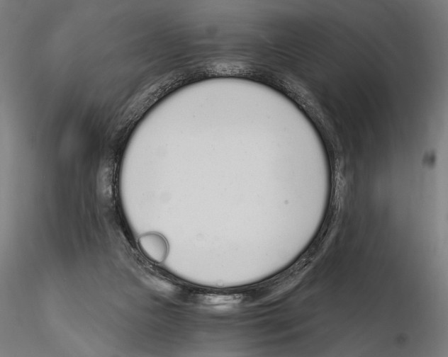 X0000115080161200912081219