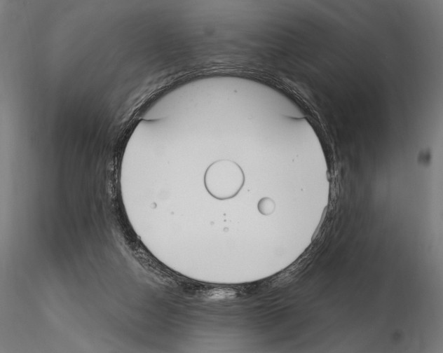 X0000115080162200912081220