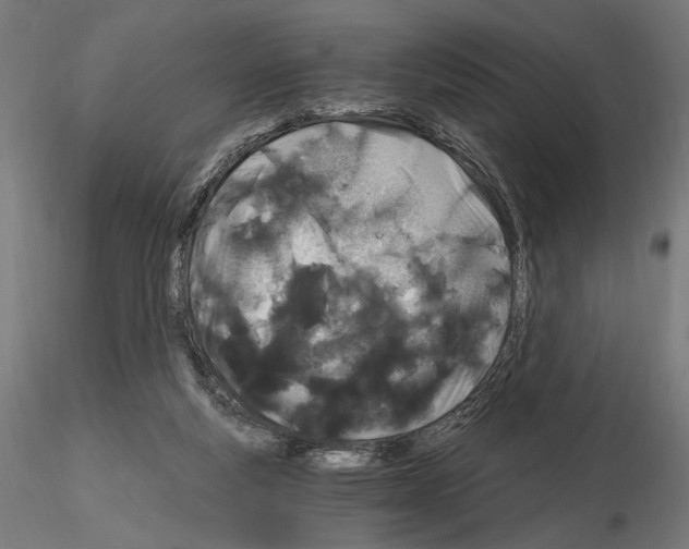 X0000115080163200912081220