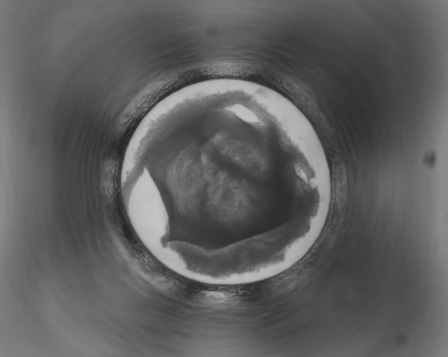 X0000115080167200912081220