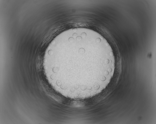 X0000115080169200912081220