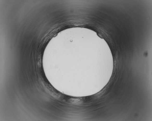 X0000115080170200912081220