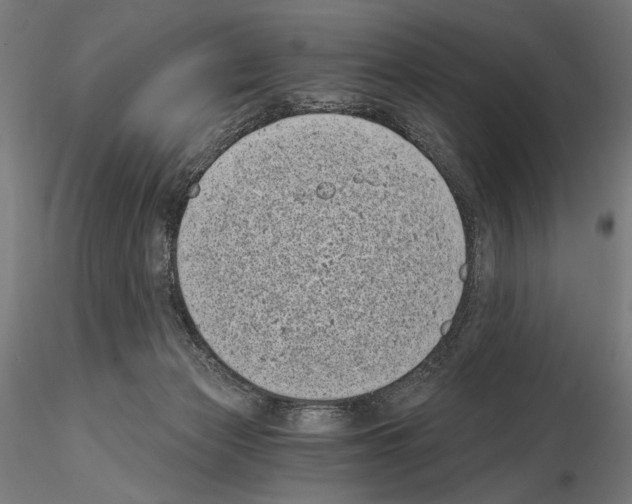 X0000115080173200912081220