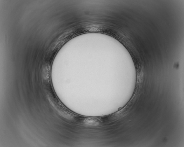 X0000115080175200912081220