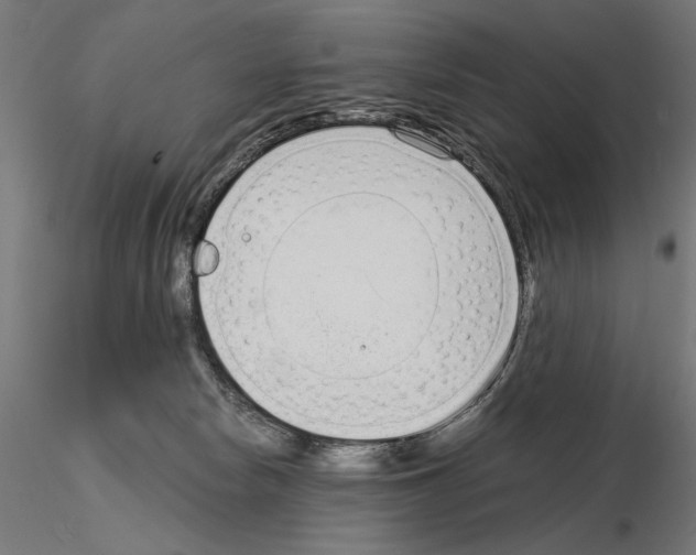 X0000115080178200912081220