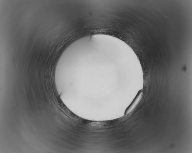 X0000115080179200912081220