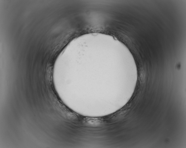 X0000115080181200912081220