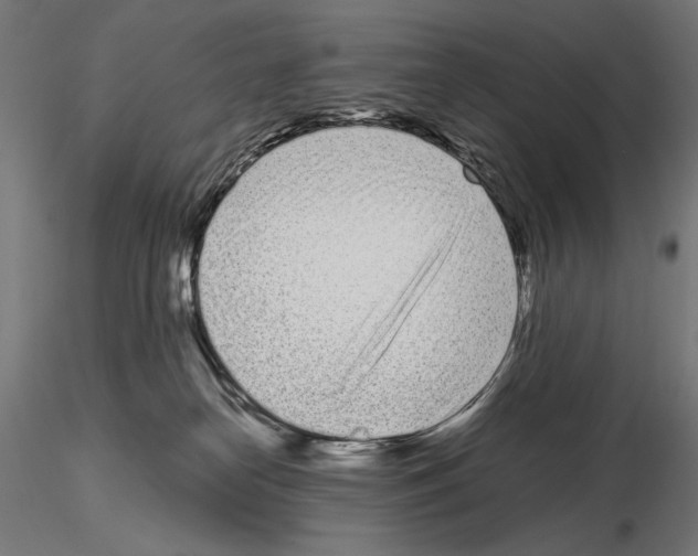 X0000115080182200912081220