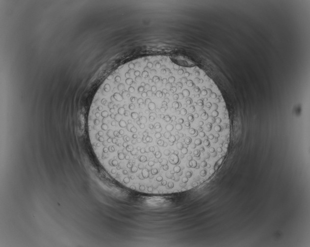 X0000115080183200912081220