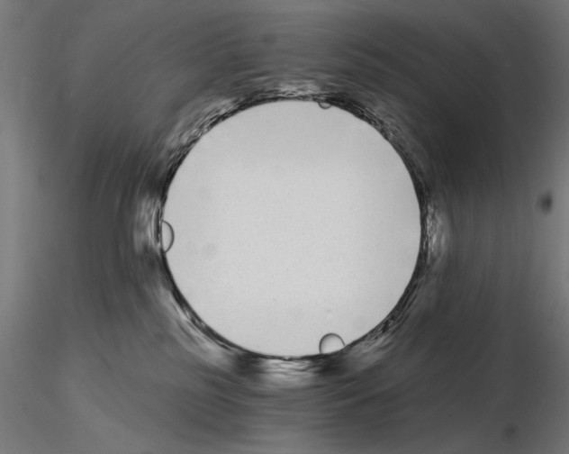 X0000115080185200912081220