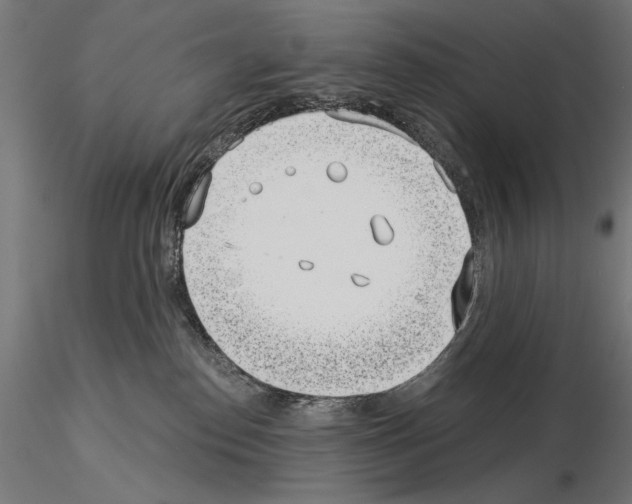 X0000115080186200912081220