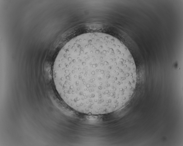 X0000115080187200912081220