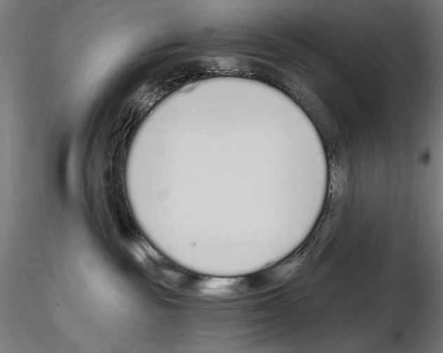 X0000115080189200912081220