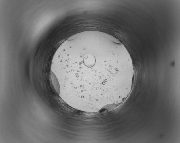 X0000115080190200912081220