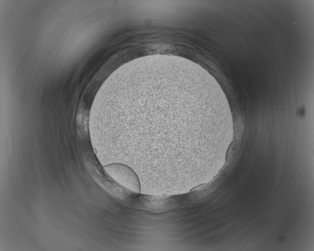 X0000115080191200912081220