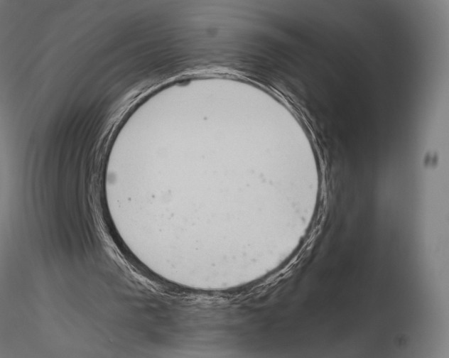 X0000115080193200912081219