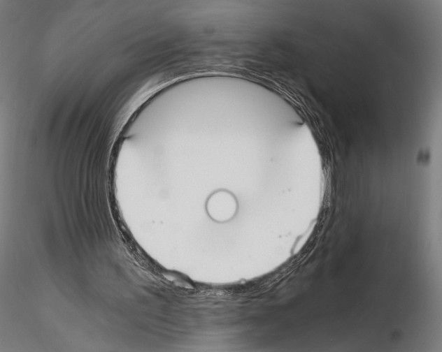 X0000115080195200912081219