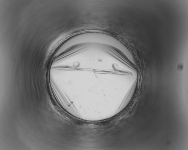 X0000115080197200912081219