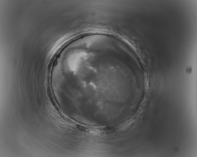 X0000115080199200912081219