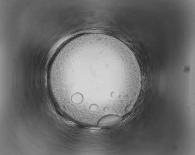 X0000115080200200912081219