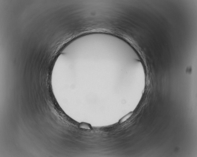 X0000115080201200912081219