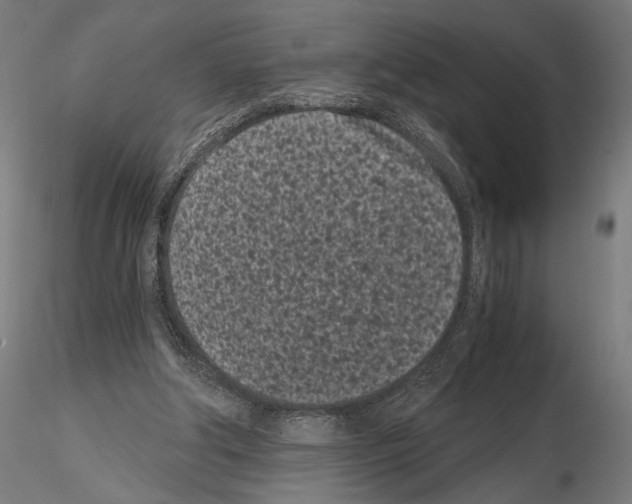 X0000115080202200912081219