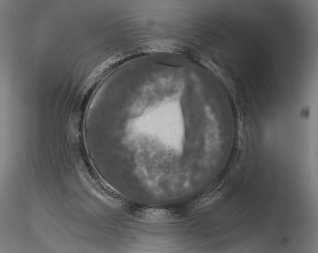 X0000115080203200912081219