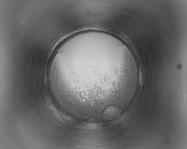 X0000115080204200912081219