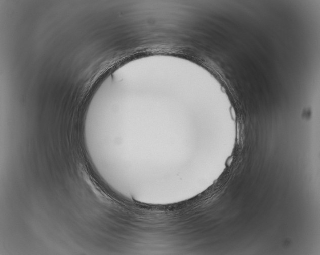 X0000115080205200912081219