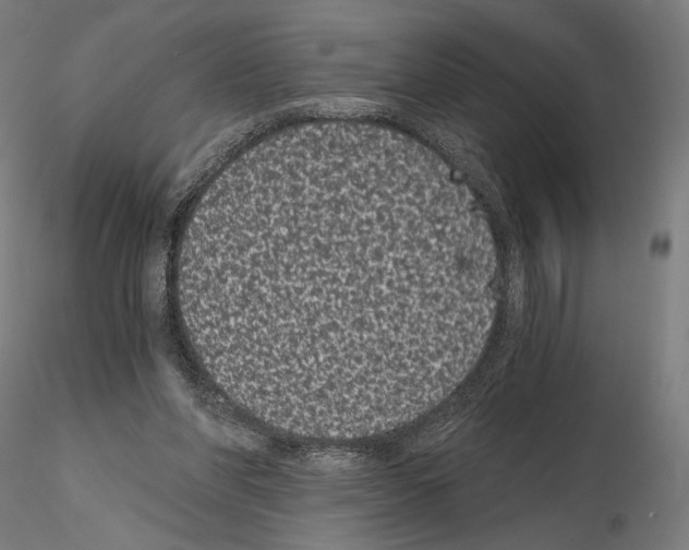 X0000115080206200912081219