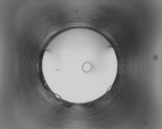 X0000115080207200912081219