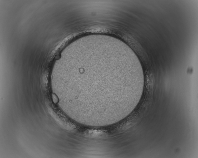 X0000115080208200912081219