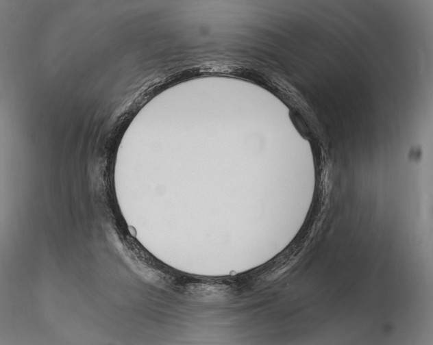 X0000115080209200912081219