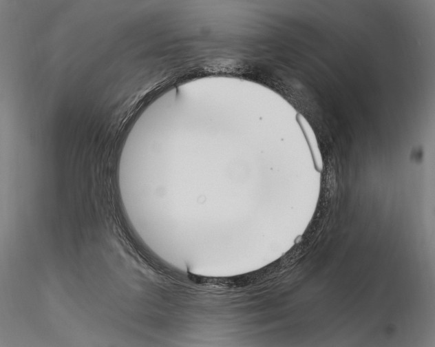 X0000115080211200912081219