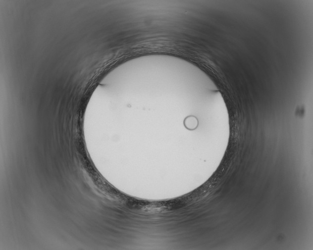 X0000115080213200912081219