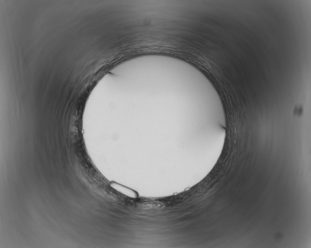 X0000115080215200912081219