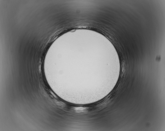 X0000115080216200912081219