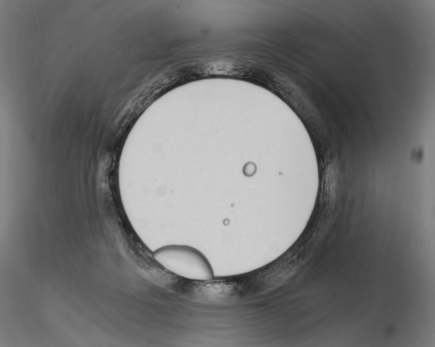 X0000115080217200912081219