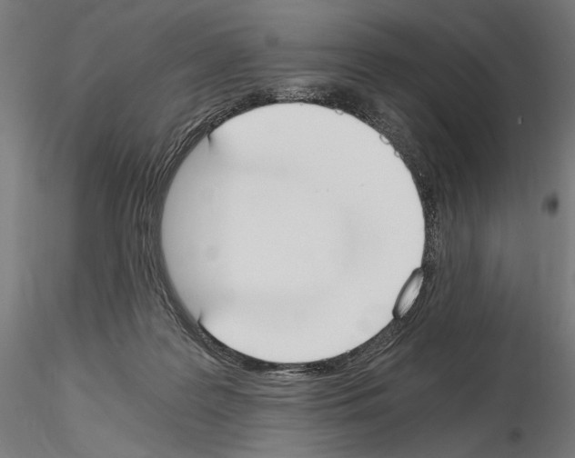 X0000115080219200912081219