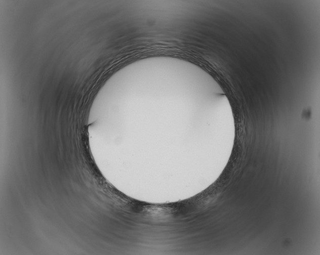 X0000115080221200912081219