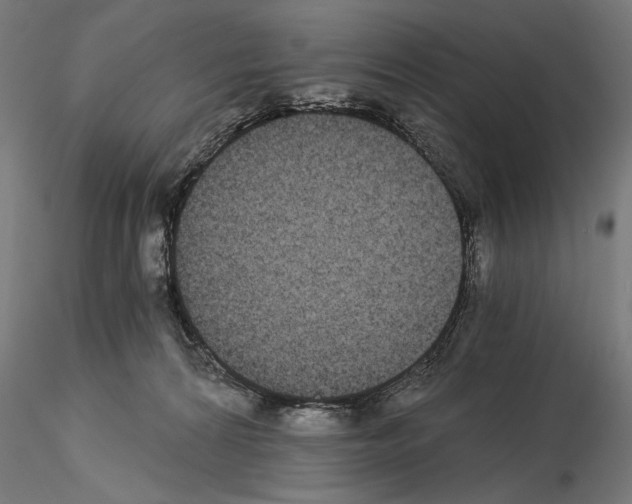 X0000115080224200912081219