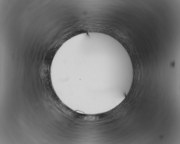 X0000115080225200912081219