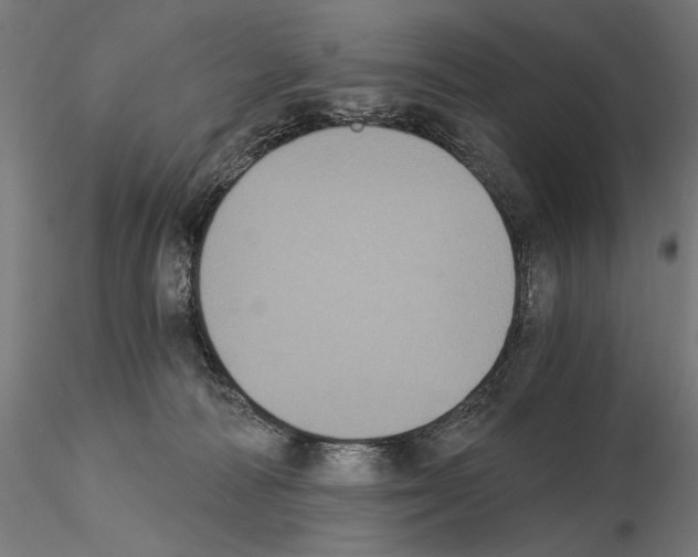 X0000115080226200912081219