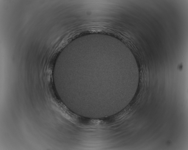 X0000115080227200912081219