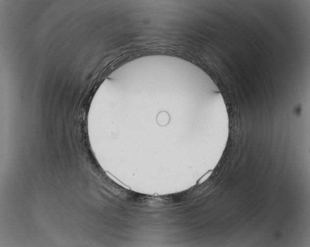 X0000115080229200912081219