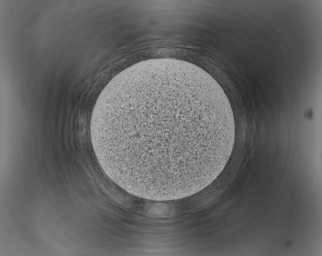 X0000115080230200912081219