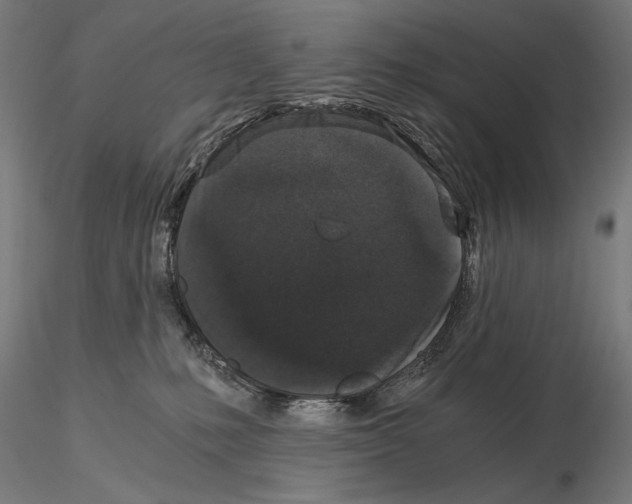 X0000115080231200912081219