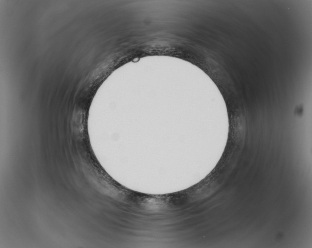 X0000115080232200912081219